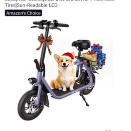 225 $USURBANMAX C1 Adult Seated E-ScooterBurkeville, VA - photo 1