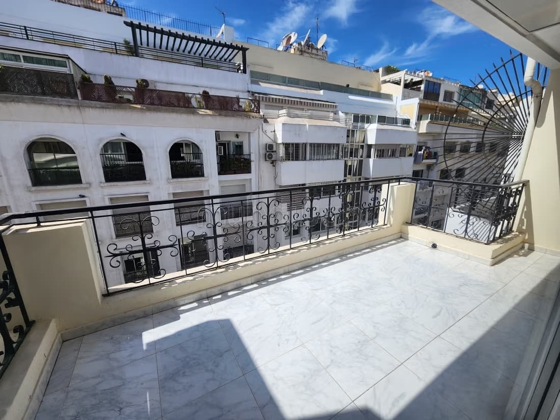 Magnifique appartement avec terrasse, Racine